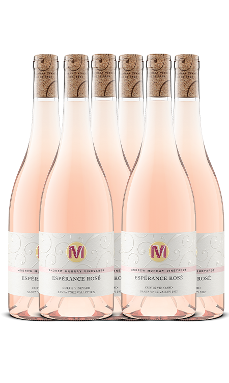 2022 ROSÉ 6 PACK WEB SPECIAL
