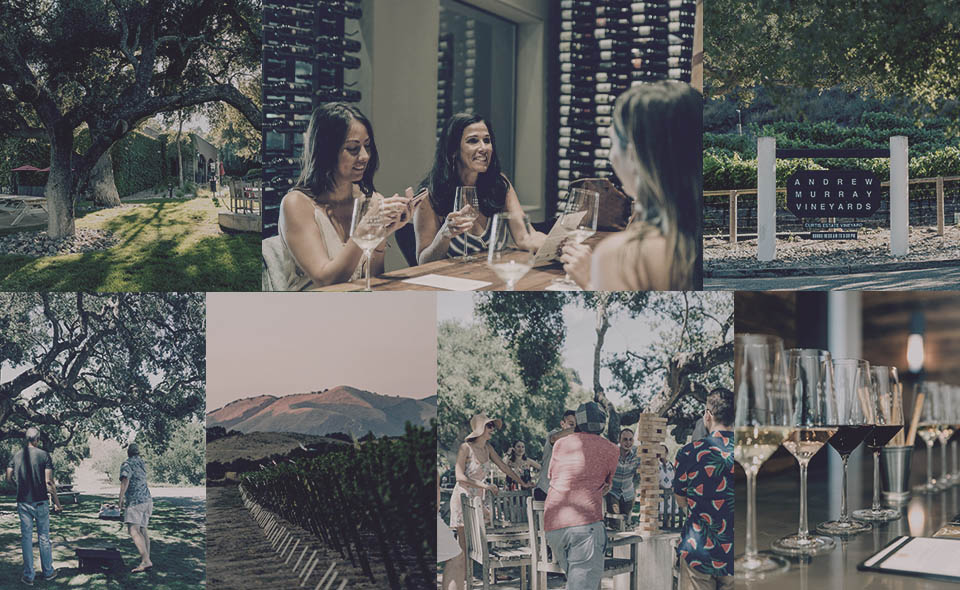 Andrew Murray Vineyards Club image collage