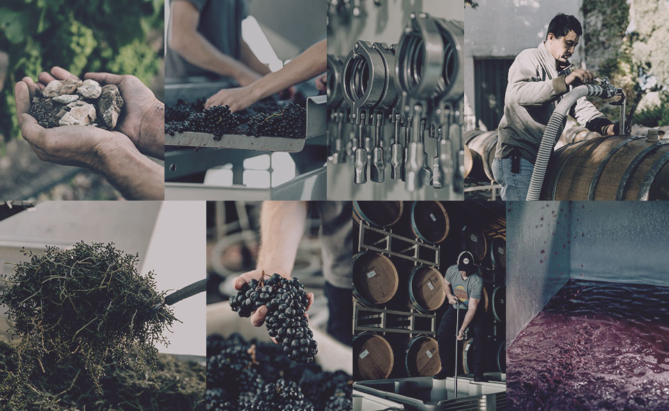 Andrew Murray Vineyards winemaking image collage