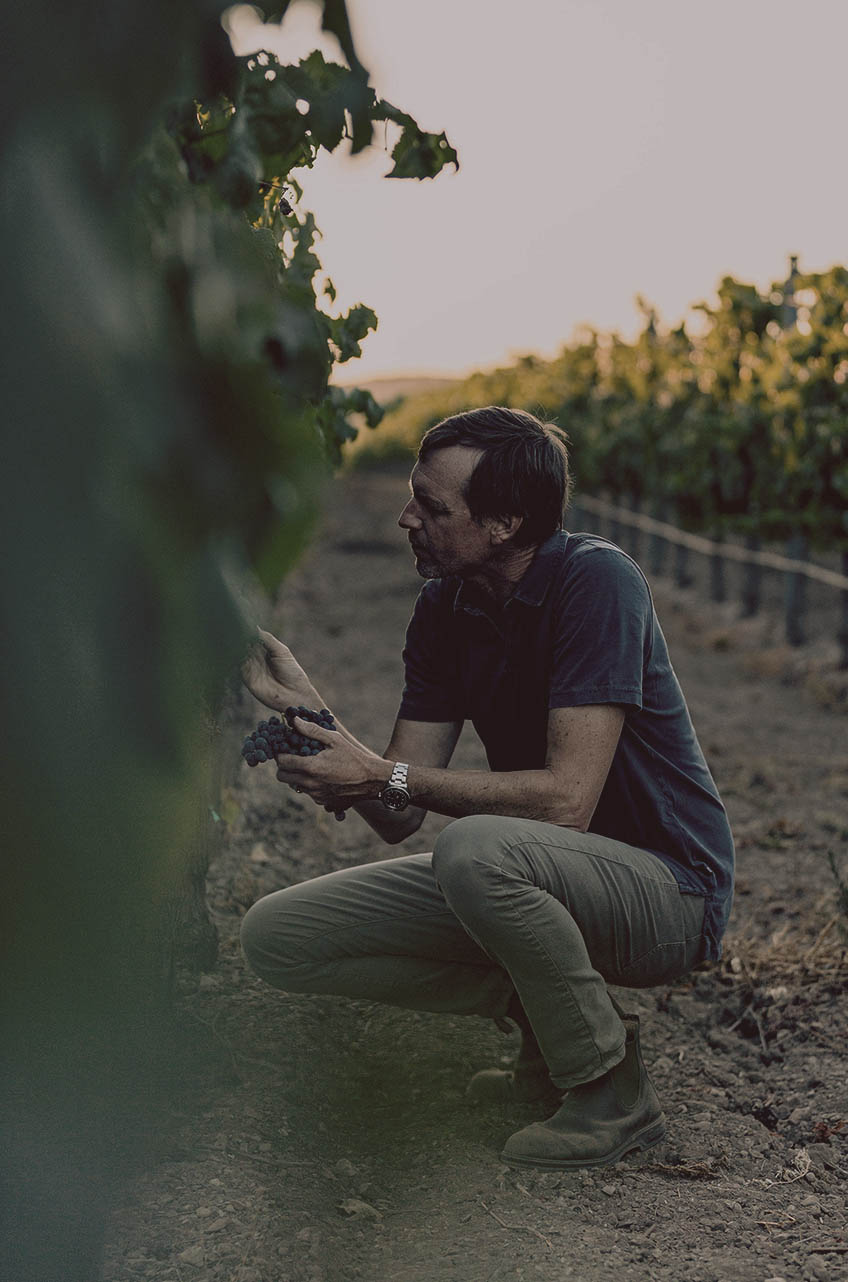 Andrew Murray Working in the vineyard