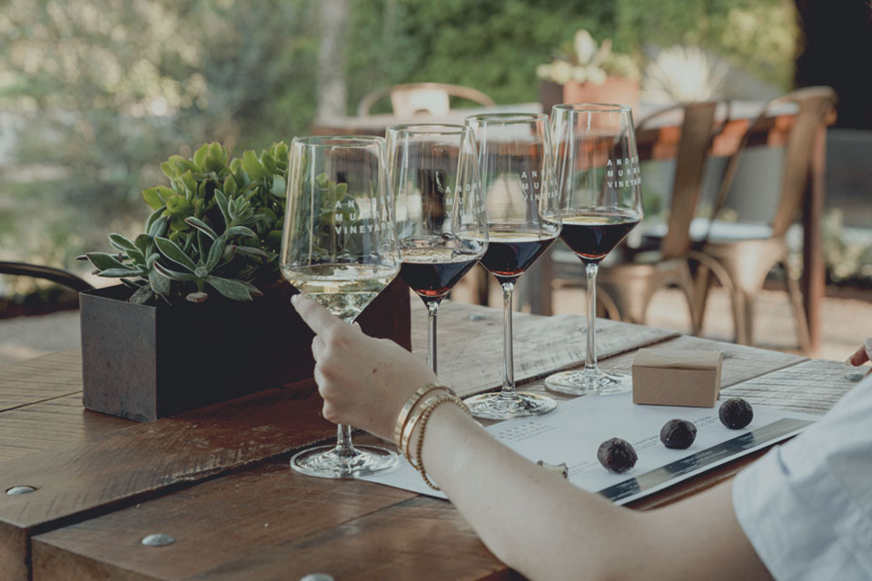 Andrew Murray Vineyards Discover Truffle experience