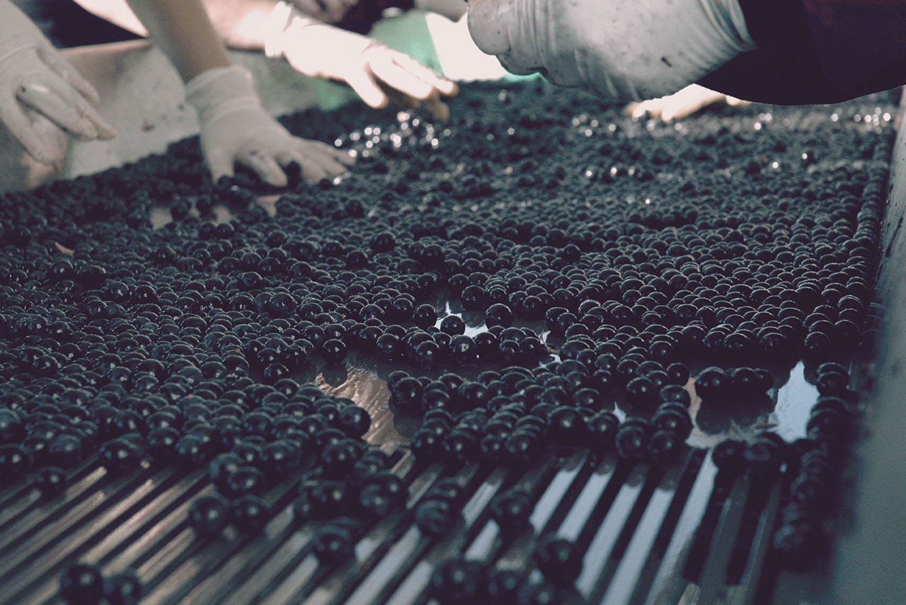 Andrew Murray Vineyard Grapes after harvest